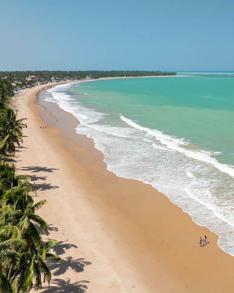 Vista da praia de Ipioca com areia clara, cercada por um denso coqueiral. O mar é de um azul-turquesa intenso, com ondas suaves quebrando na beira. Uma família caminha na areia.