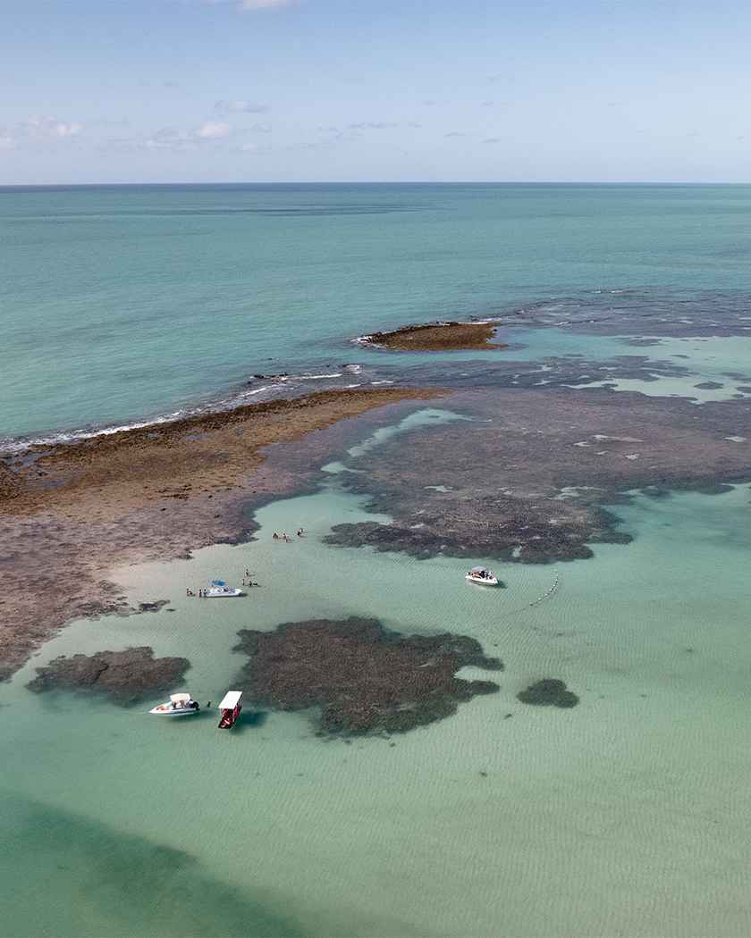 destinos paradisíacos Vista aérea das piscinas naturais de Japaratinga com alguns barcos ancorados próximo aos recifes de corais. O céu está sem nuvens e o mar está cristalino.